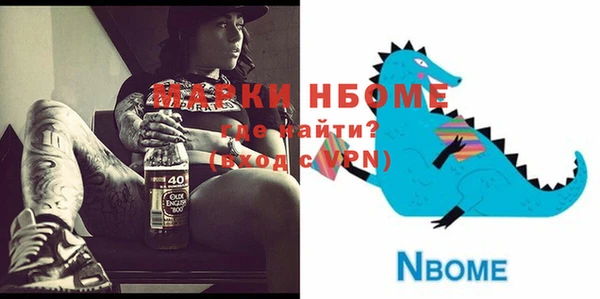 шишки Сясьстрой